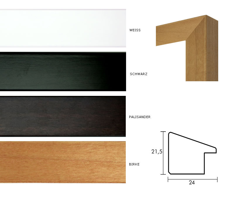 Meterware Holz Profil Top N