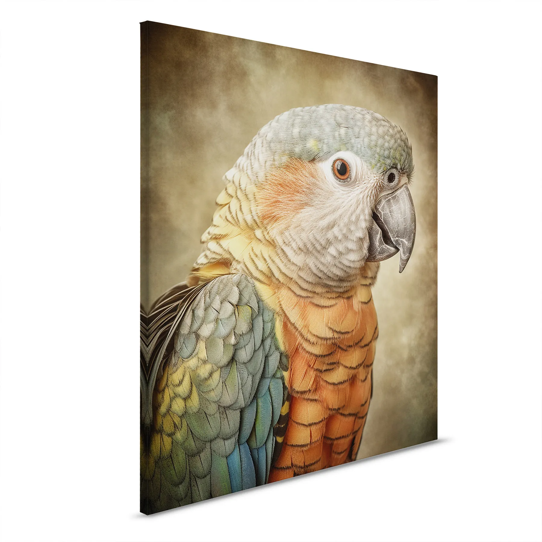 Leinwandbild Fantasy Parrot Orange