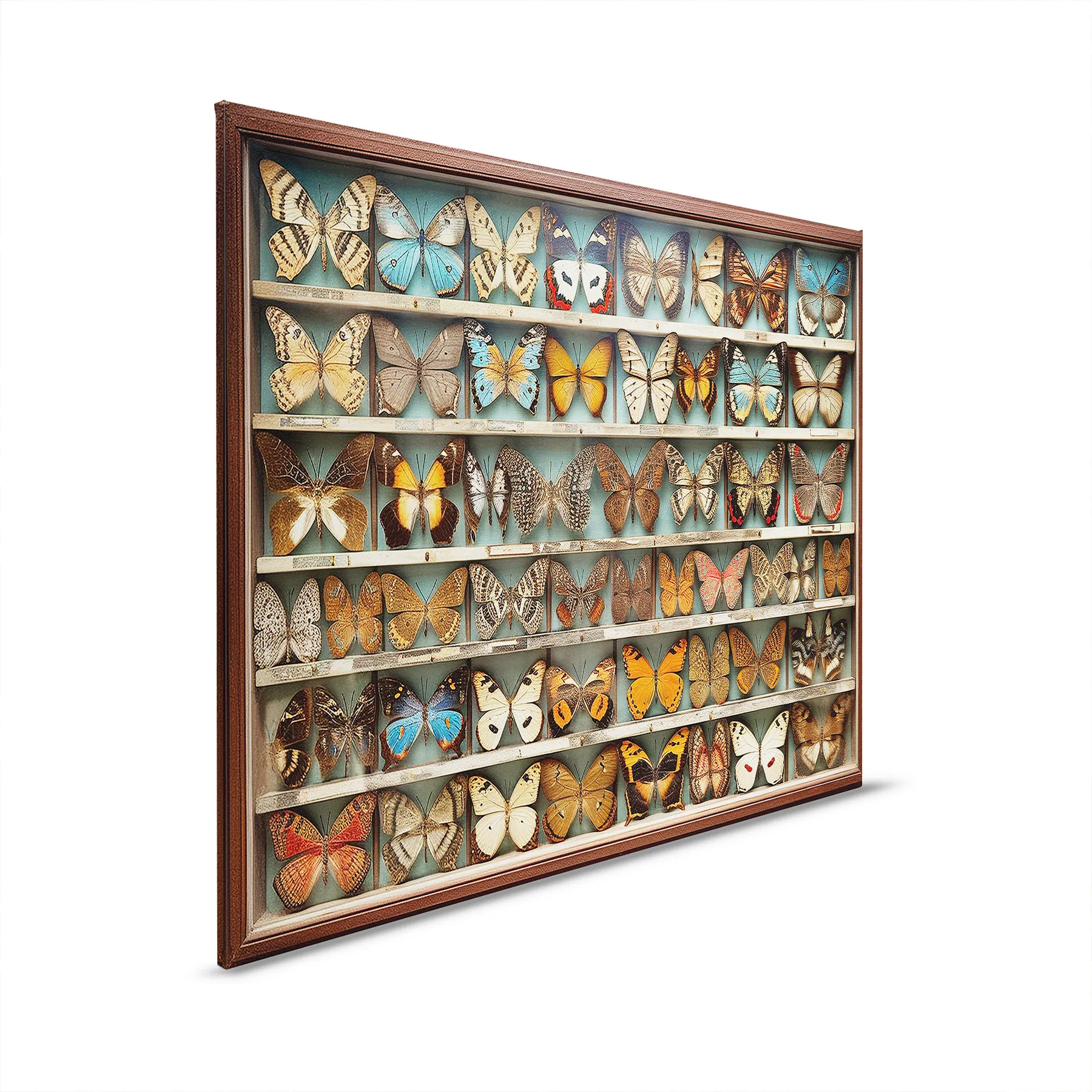 Leinwandbild Butterfly Box