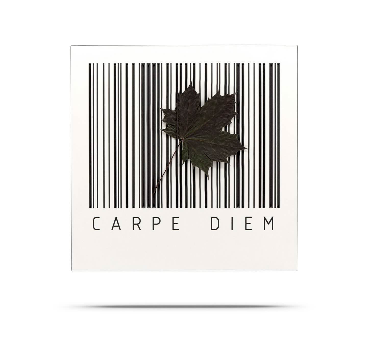 BARCODE Board - Klemmwand CARPE DIEM, MDF mit Rundgummis 50x50 cm