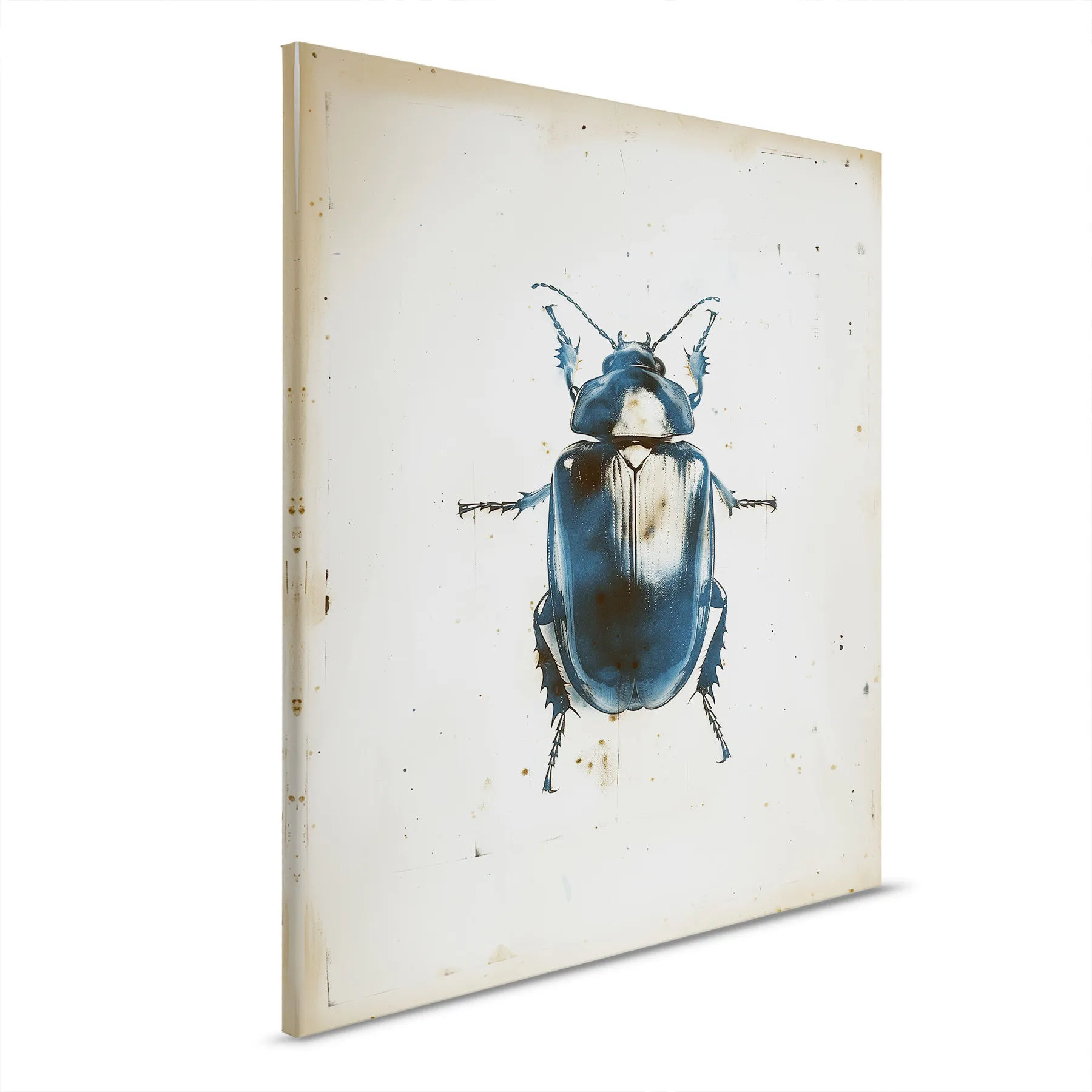 Leinwandbild Beetle