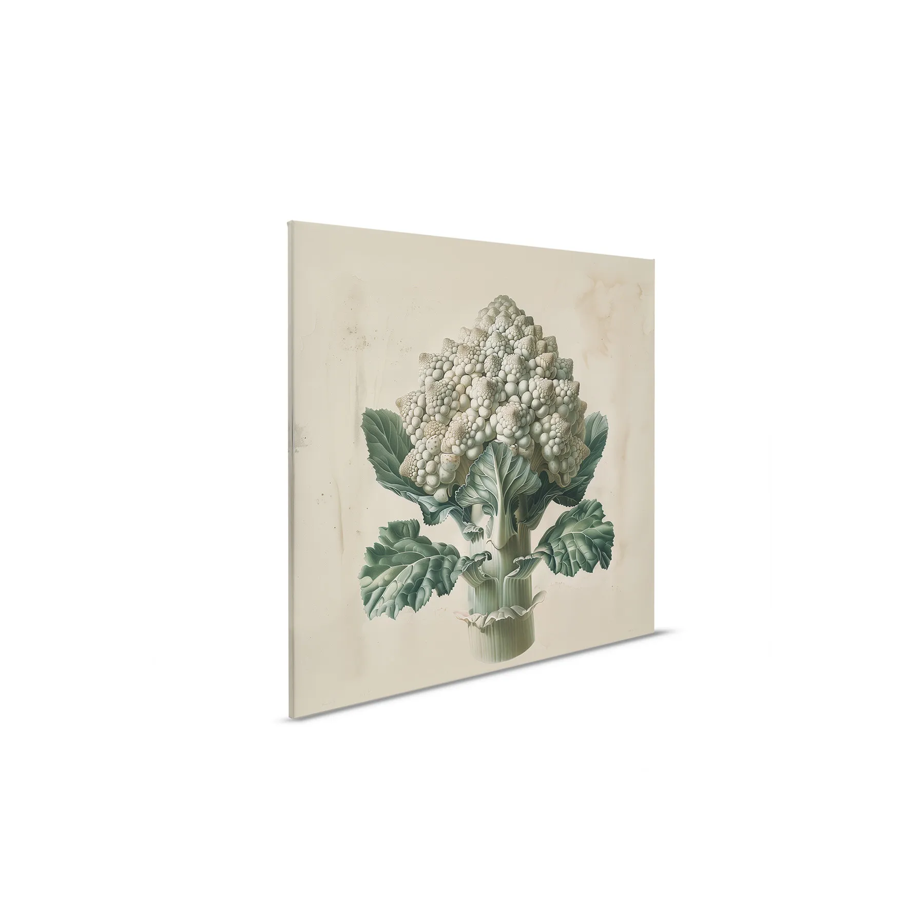 Leinwandbild Romanesco Weiss