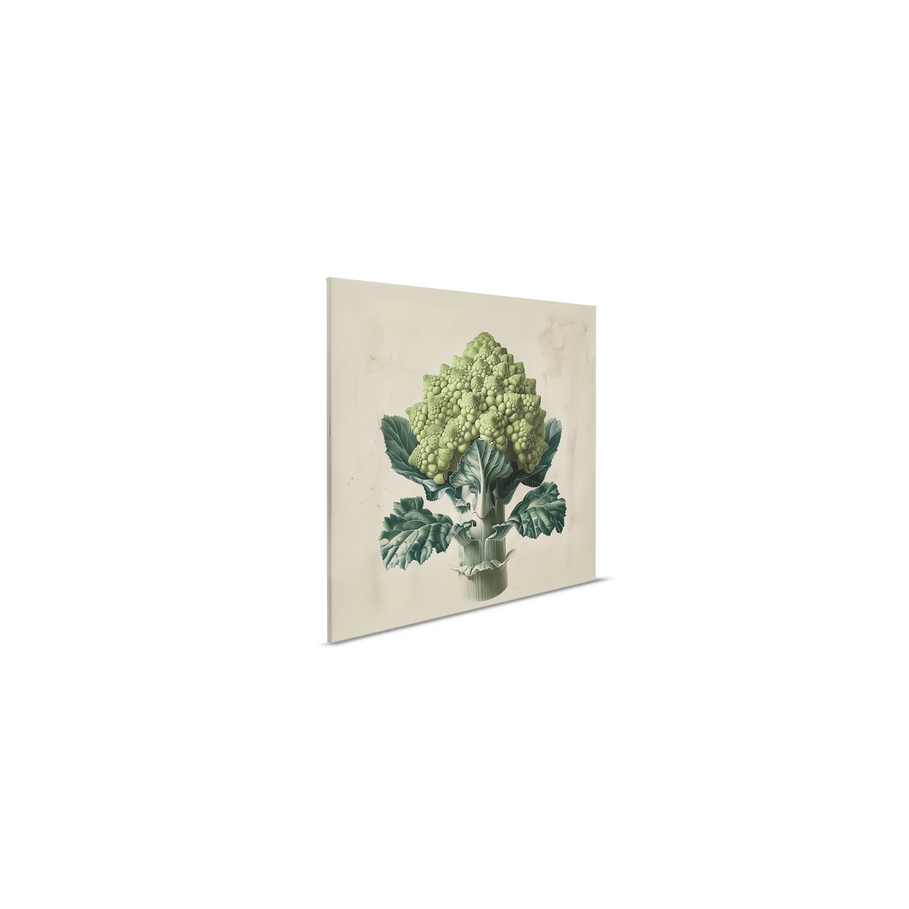 Leinwandbild Romanesco Green