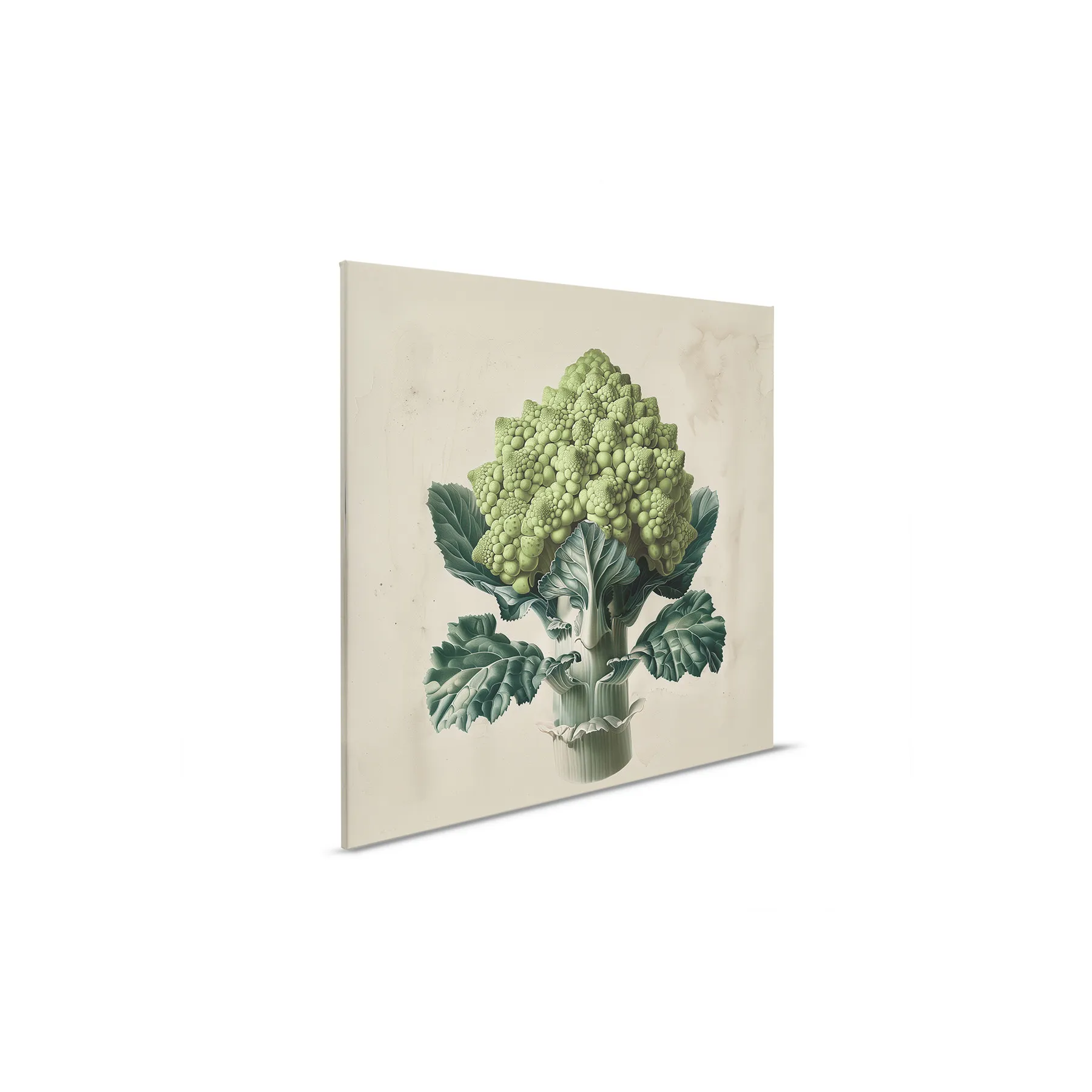 Leinwandbild Romanesco Green