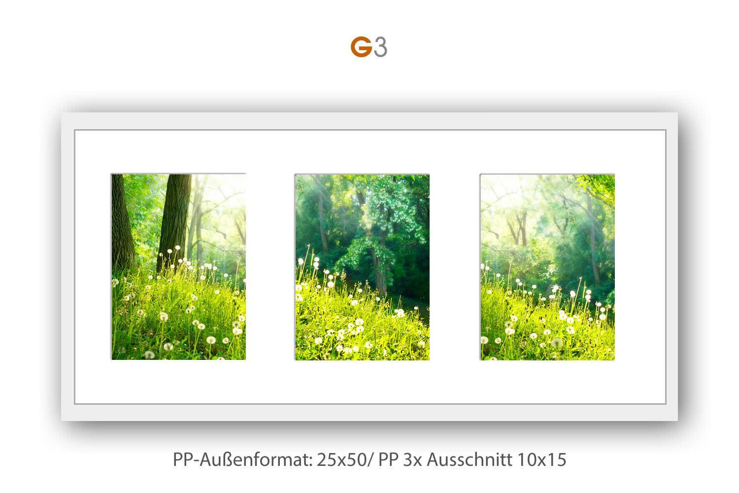 Galerie Bilderrahmen Kunststoff ART in rosé