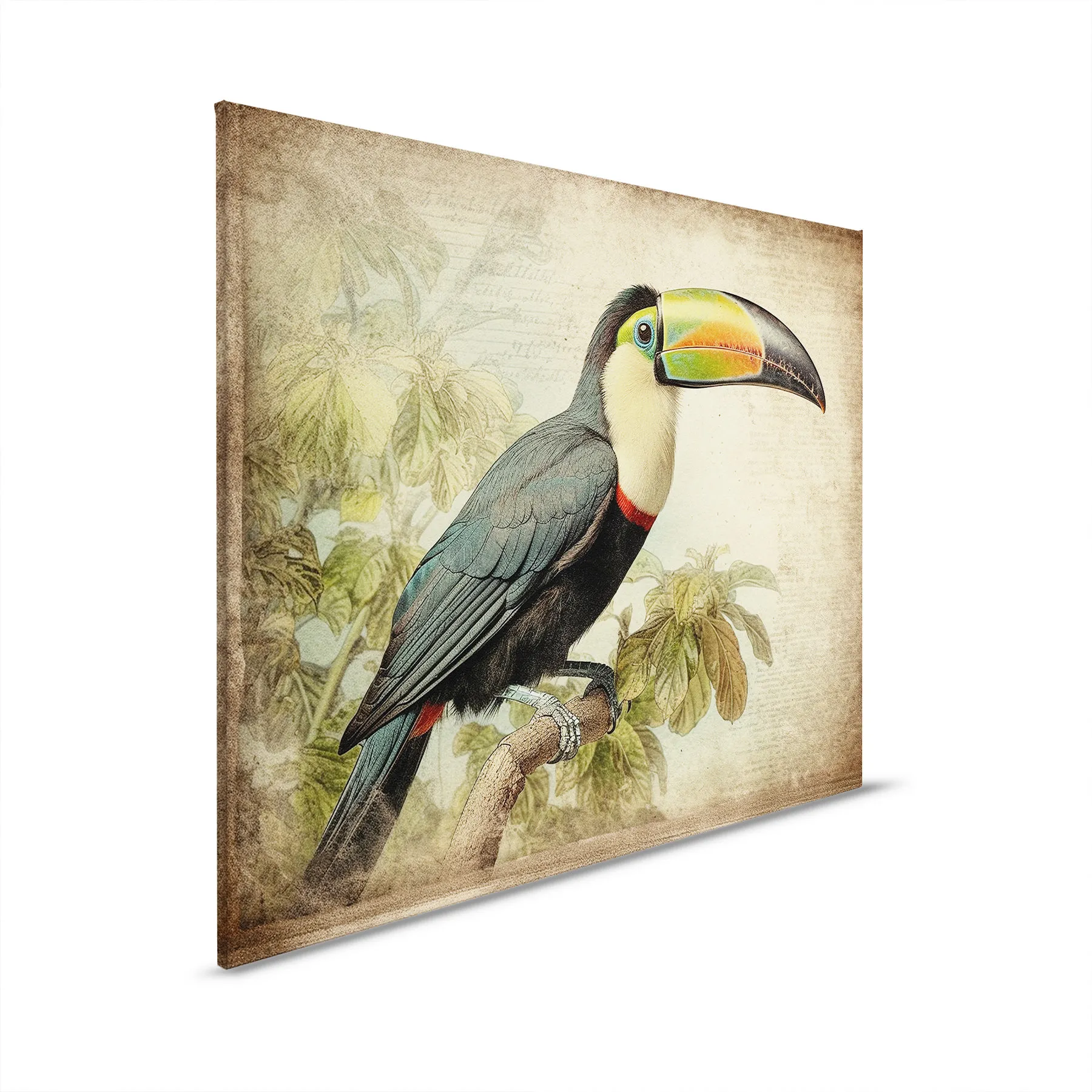 Leinwandbild Toucan Vintage